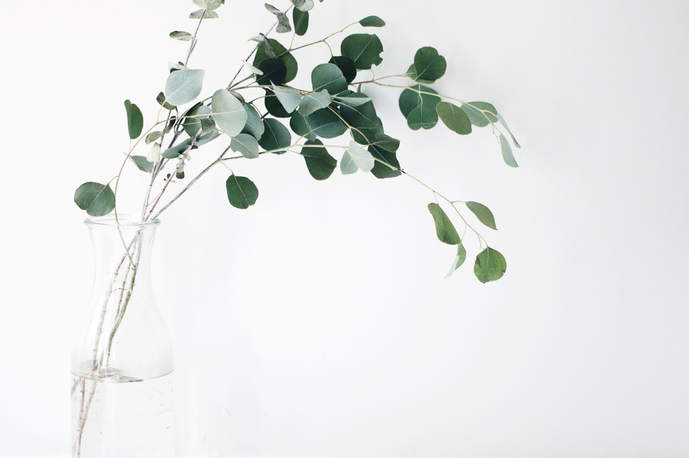 gallery/jazmin-quaynor-8ioenvmof-i-unsplash